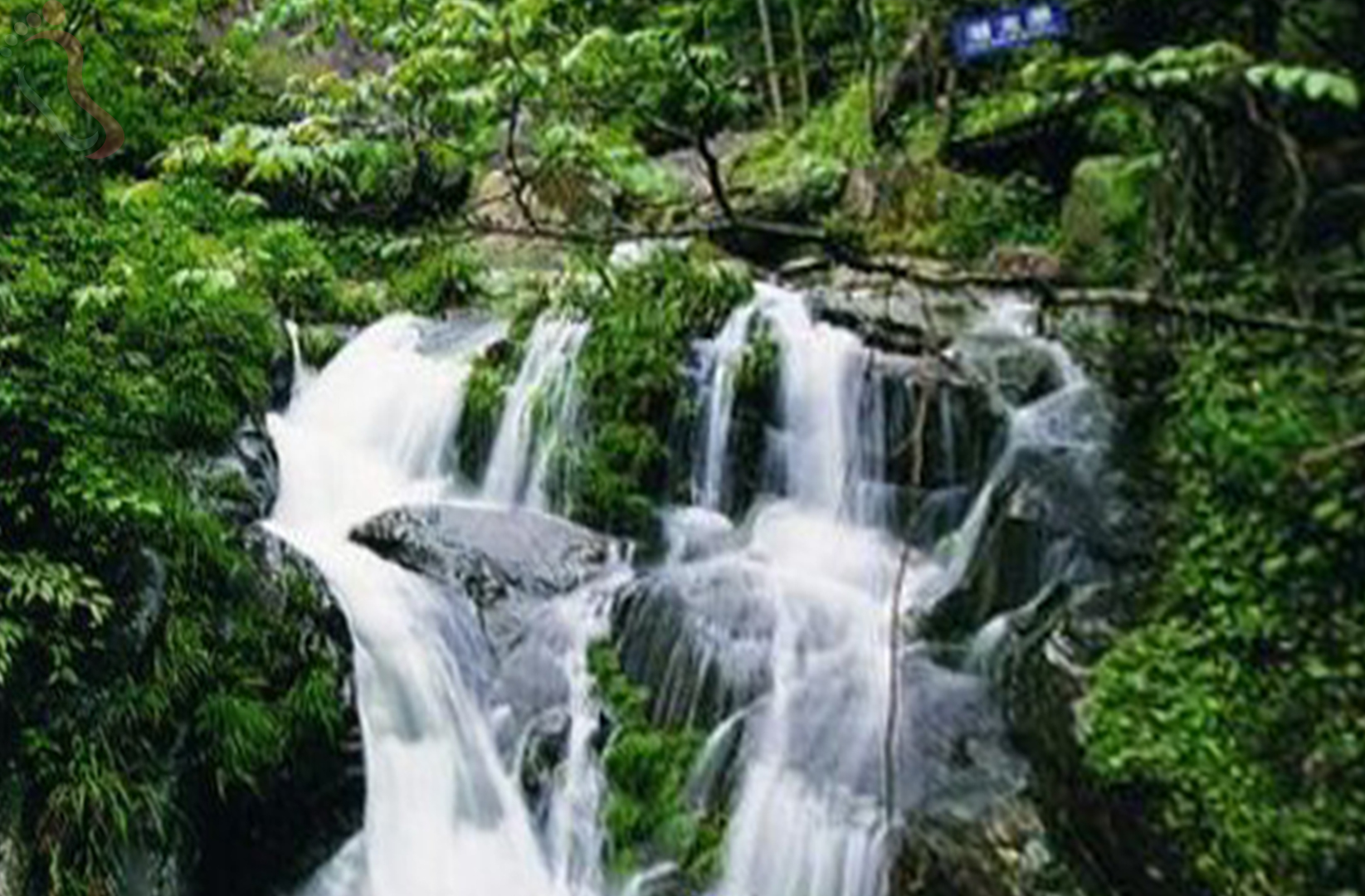 浙江安吉八佰山庄 - 周边游玩