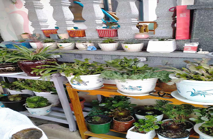 浙江安吉根清民宿 - 图片1