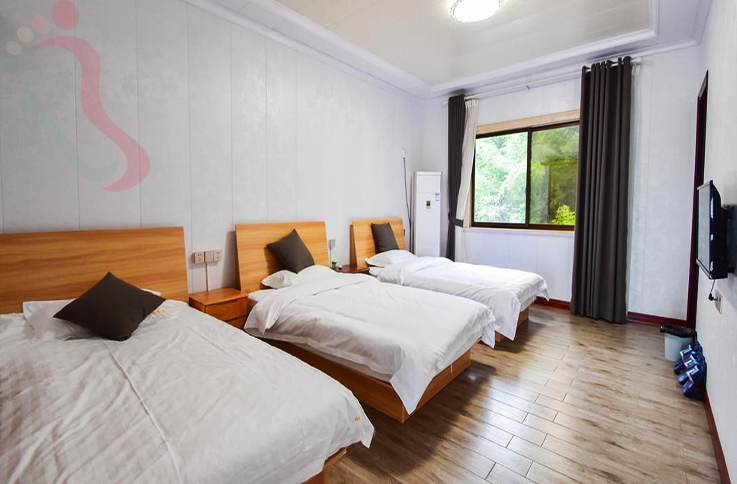 浙江安吉翩来苑民宿房间图片3