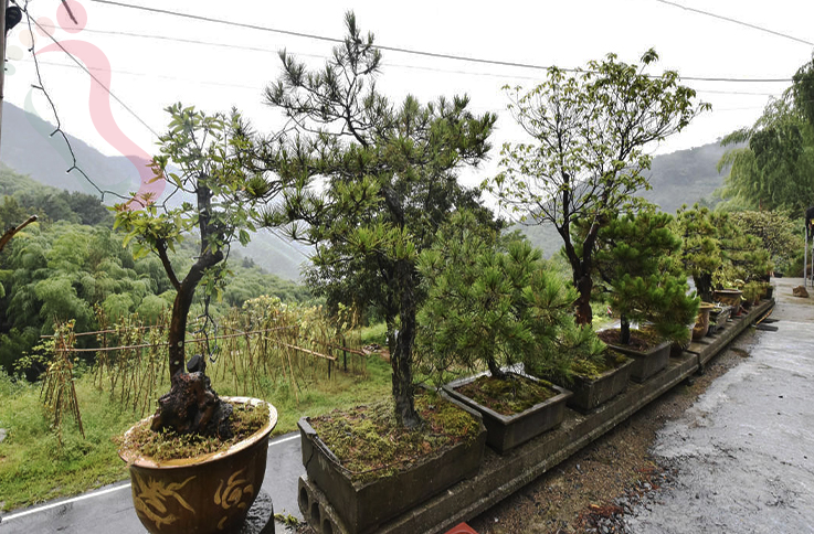 浙江安吉深凉居农家乐 - 图片2