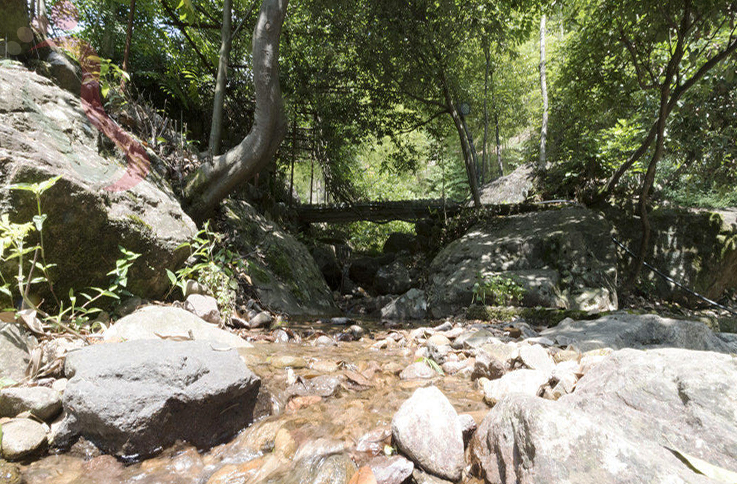 浙江安吉天然居农家乐 - 周边游玩