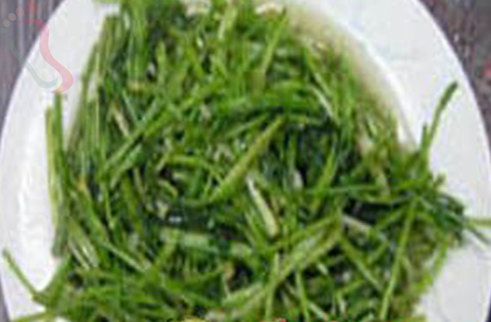 浙江安吉一品居农家乐 - 餐饮介绍