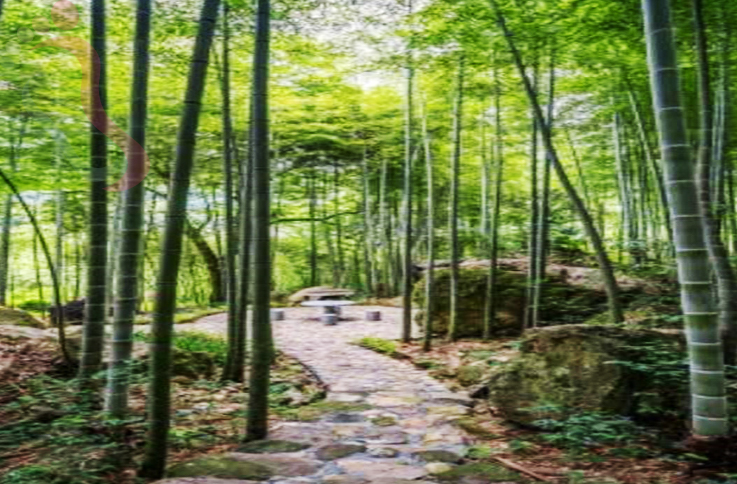 浙江安吉湖心小筑 - 周边游玩