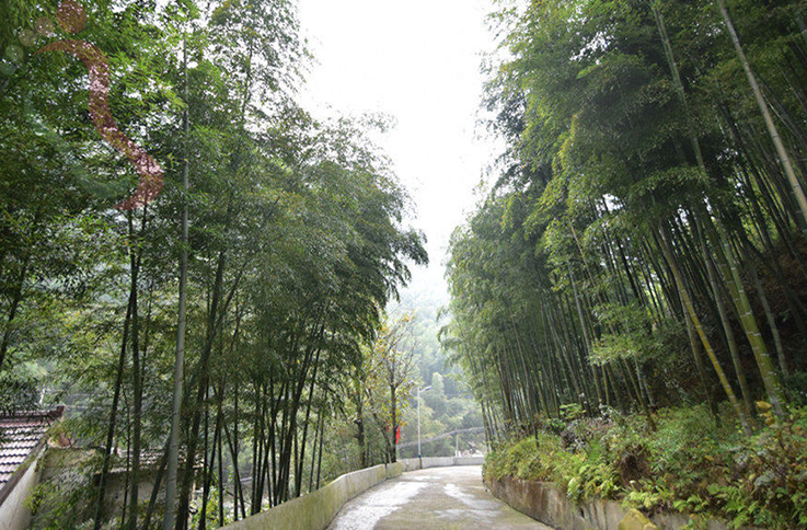 浙江安吉雅沁山庄 - 周边游玩