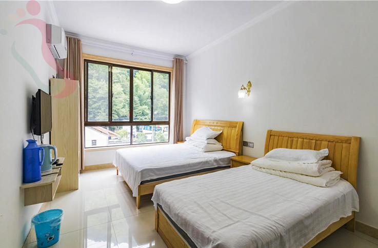 浙江安吉雅沁山庄房间图片1