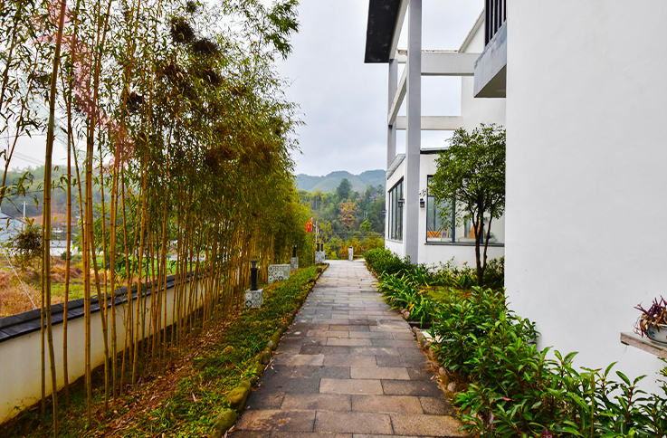 浙江安吉山舍别院 - 图片4