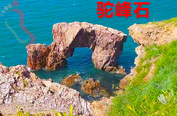 山东烟台长岛南隍城岛民宿迎客松渔家乐-长岛旅游南隍城岛渔家院民宿汇 - 周边游玩