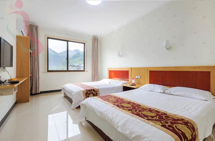 浙江安吉杨门民宿房间图片4