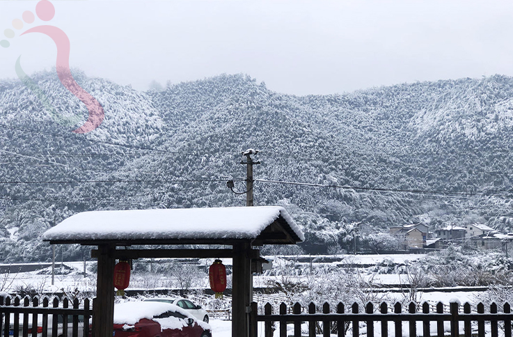 浙江安吉杨门民宿 - 图片1