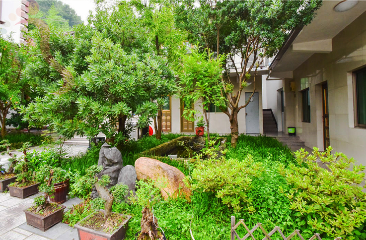 浙江安吉姣姣农家乐 - 图片1