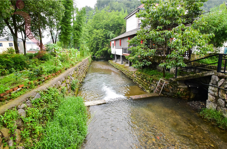 浙江安吉姣姣农家乐 - 图片2