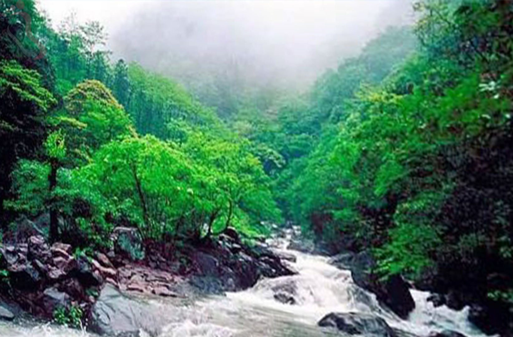浙江安吉董岭玺缘山庄 - 周边游玩