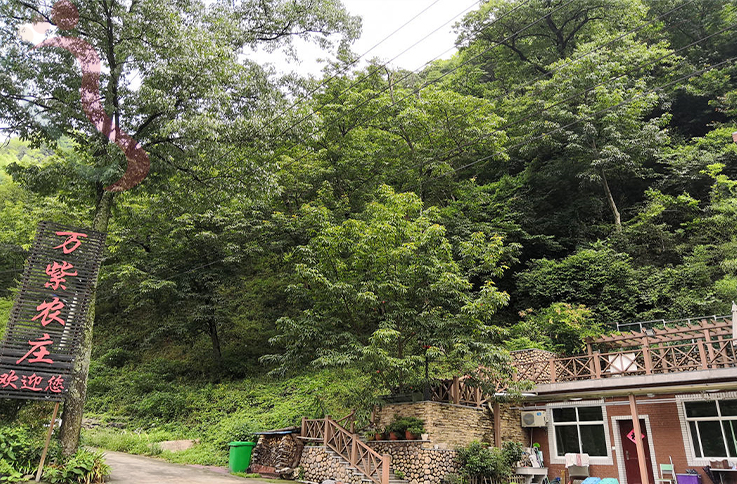 浙江安吉万紫农庄 - 图片1