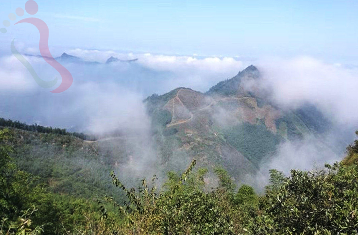 浙江安吉百翠山民宿 - 周边游玩