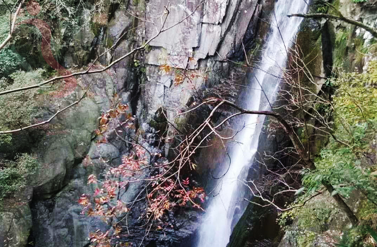 浙江安吉石岭度假村 - 周边游玩