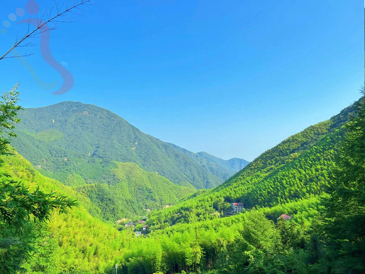 浙江安吉董岭越烽农庄 - 周边游玩