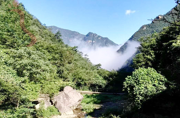 浙江安吉石岭度假村 - 周边游玩