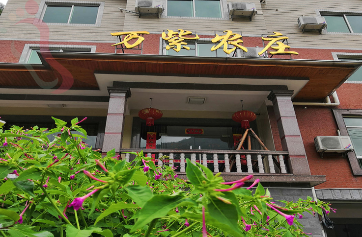 浙江安吉万紫农庄 - 图片3