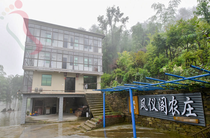 浙江安吉董岭凤仪阁农庄 - 图片2