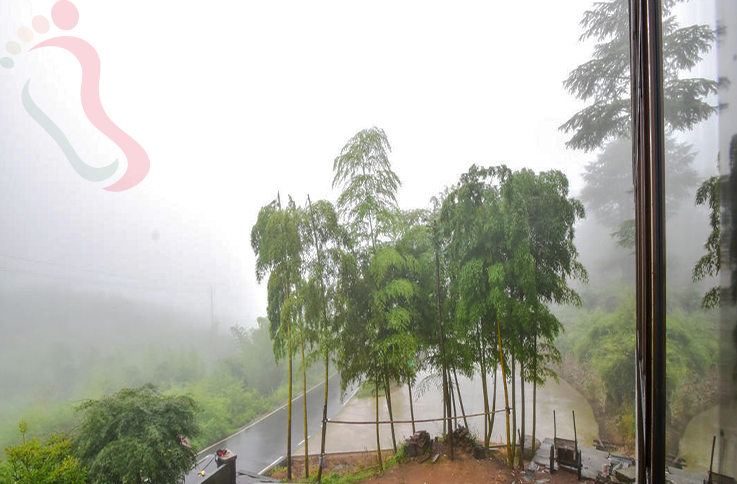 浙江安吉董岭凤仪阁农庄 - 图片1