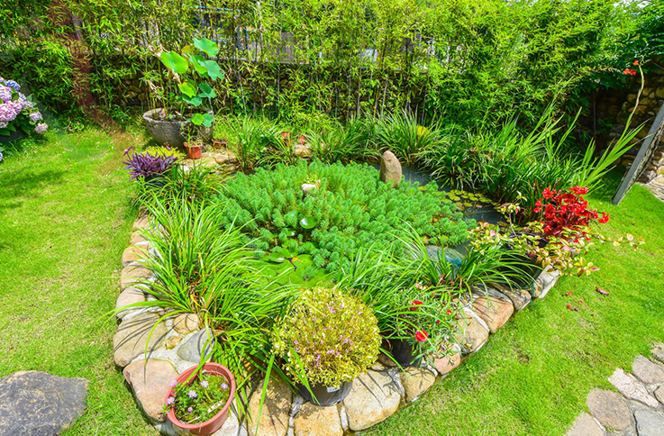 浙江德清清蔬小院 - 图片1