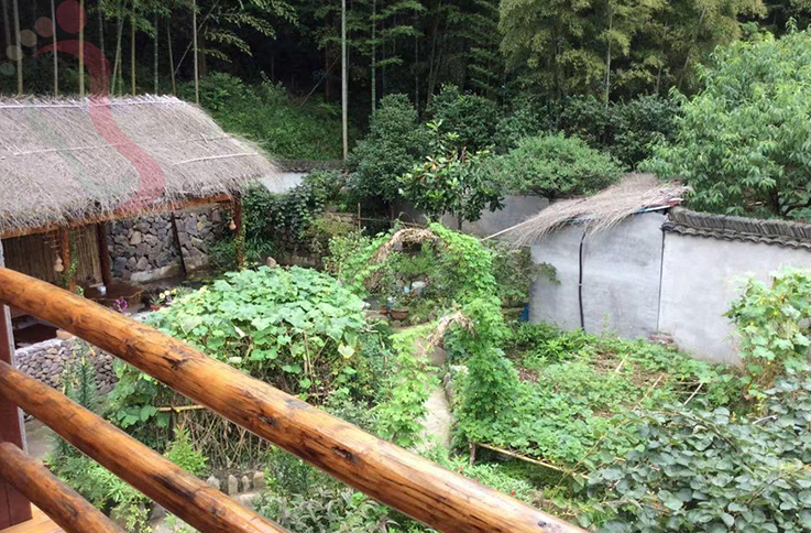 浙江德清莫干山山水别院 - 图片2