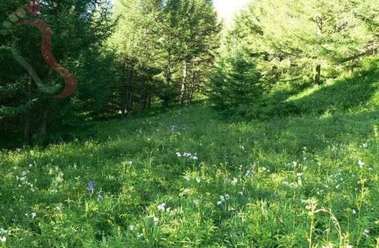 丰宁白云湖山庄 - 图片2