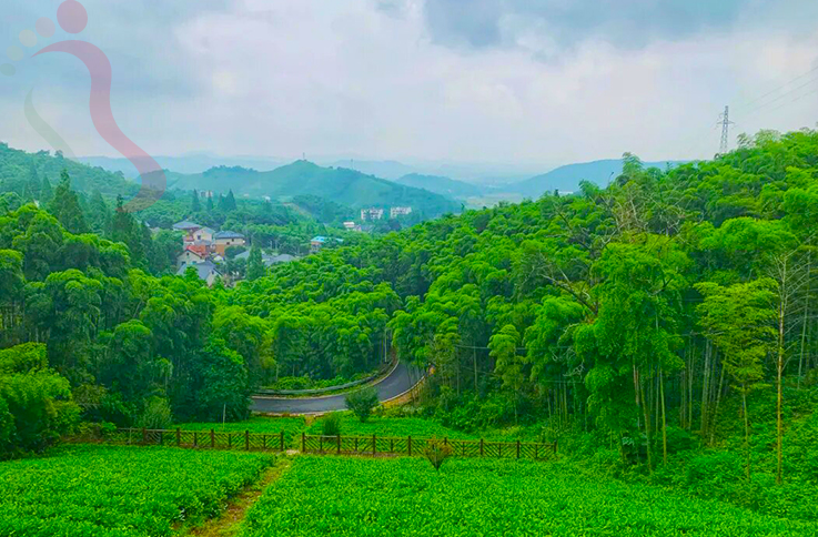 浙江德清莫干山天浩山庄 - 周边游玩