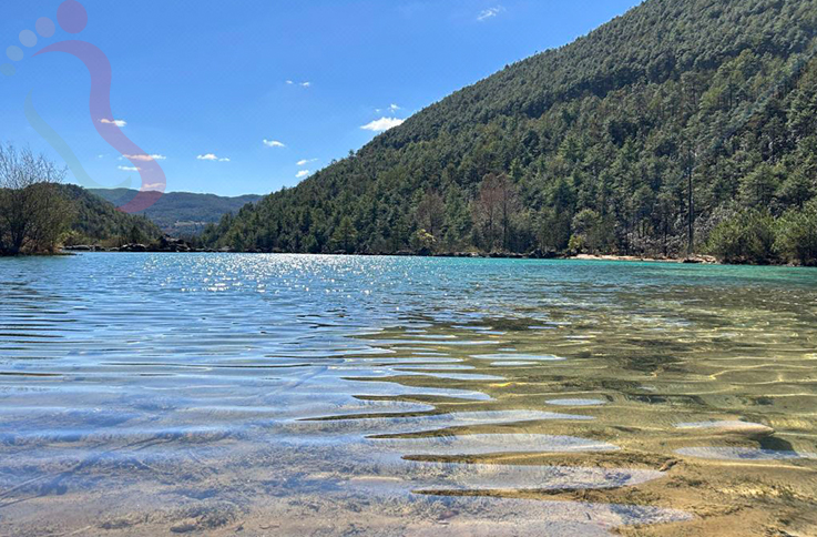 木槿昔年设计师民宿 - 图片3