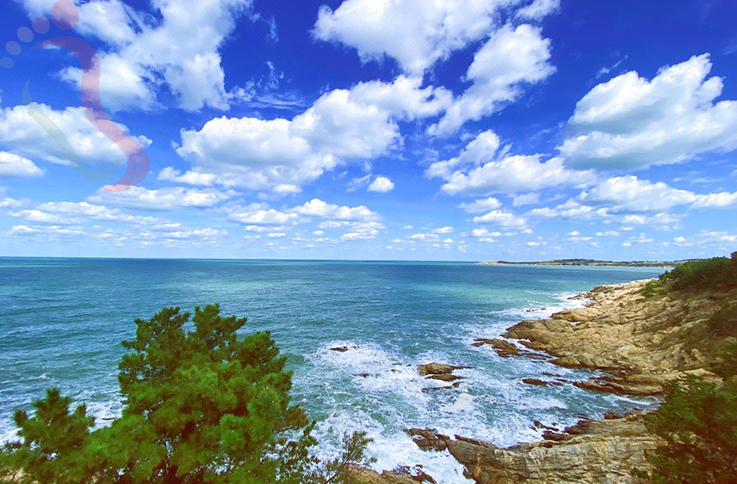 梧桐民宿 - 图片2