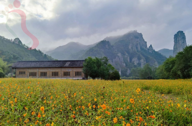 重庆北培区缙云山民宿-缙云别舍民宿 - 图片4