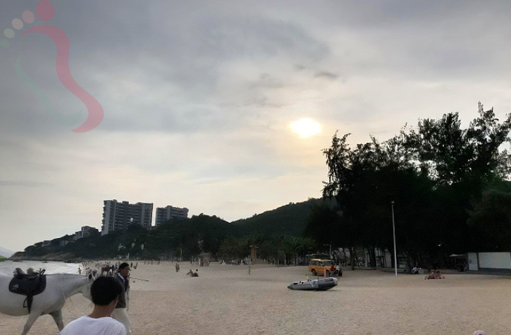 广东深圳龙岗平湖民宿-兔子民宿 - 图片4