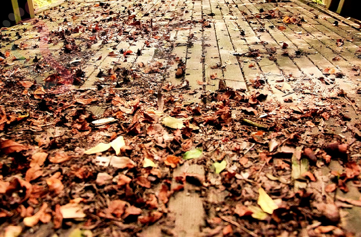 上海黄埔城隍庙民宿-剧组里C空间民宿 - 图片2