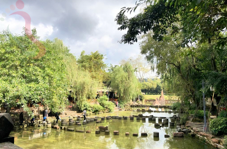 四川成都双流黄龙溪民宿-黄龙溪碧海楼 - 图片2