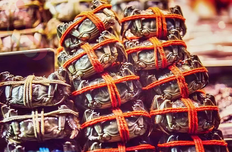 江苏苏州吴中太湖民宿-苏州花海澜庭民宿 - 图片1