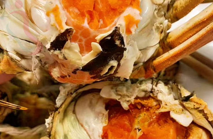 江苏苏州吴中太湖民宿-苏州花海澜庭民宿 - 图片2