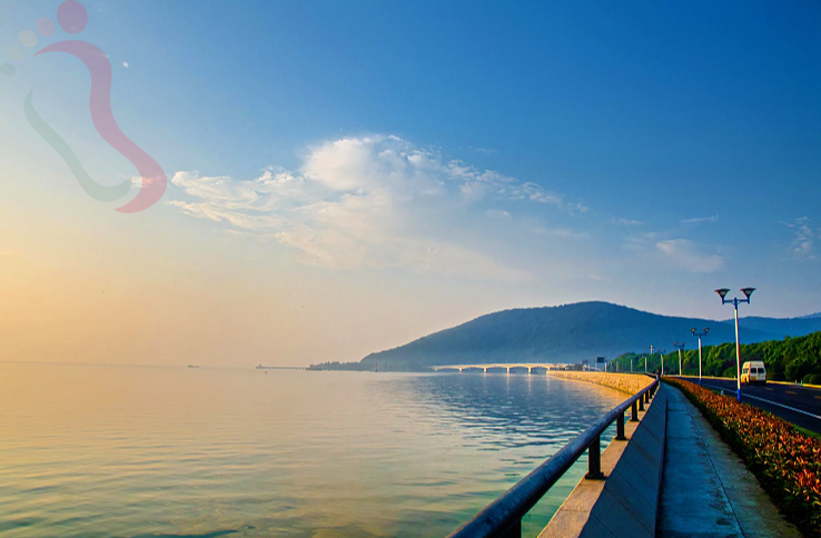 江苏苏州吴中太湖民宿-苏州花田小院 - 图片3