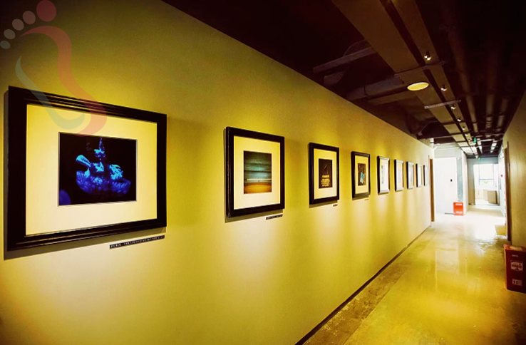 四川成都青阳太古里民宿-背包十年 - 图片4