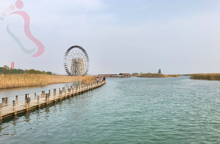 江苏苏州吴中太湖民宿-苏州花海澜庭民宿 - 周边游玩