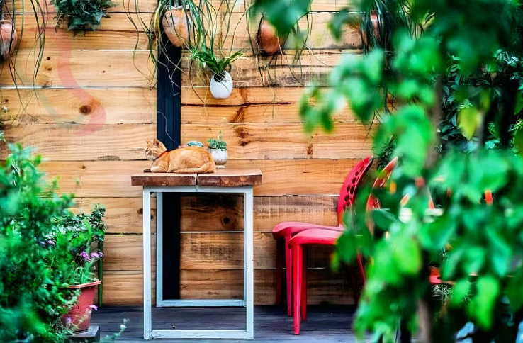 四川成都锦江太古里民宿-托板鞋青年旅舍 - 图片1