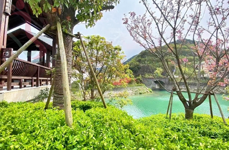 浙江杭州淳安千湖岛民宿-青沐民宿 - 周边游玩