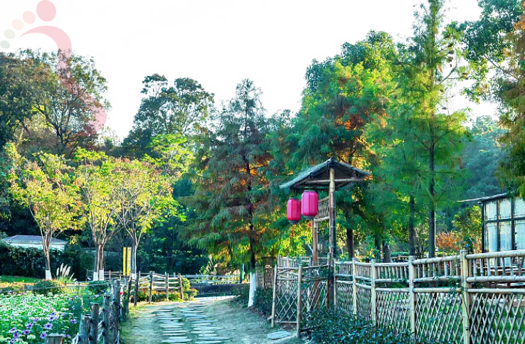 江苏南京浦口不老村风景区民宿-花筑南京洗铅华客栈 - 图片3