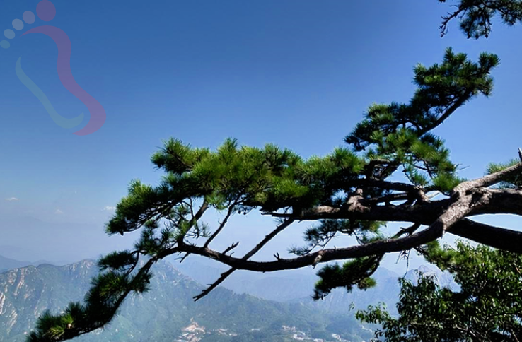 天津蓟州盘山怀年清真回民农家民宿 - 周边游玩