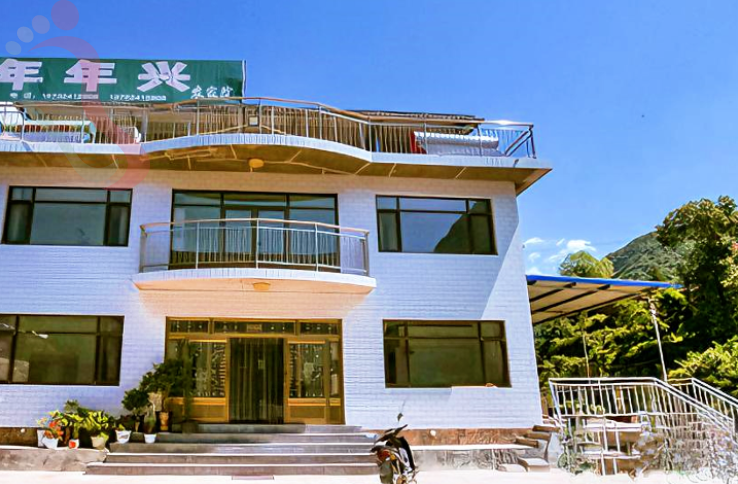 河北承德兴隆青松岭年年兴农家民宿 - 图片2