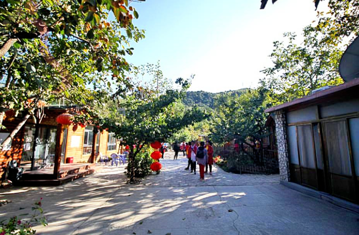 天津蓟州西井峪逸闲山居农家民宿 - 图片3