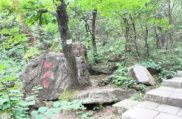 天津蓟州九龙山聚贤农家民宿 - 周边游玩