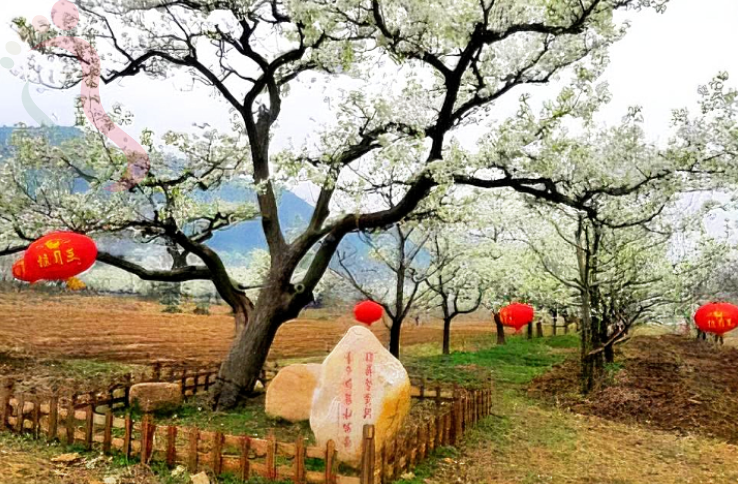 天津蓟州幸福农家 - 周边游玩