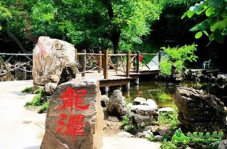 天津蓟州九龙山鑫泰德福庄园 - 周边游玩