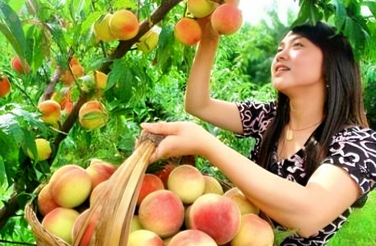 天津蓟州九龙山孔府农家民宿 - 周边游玩