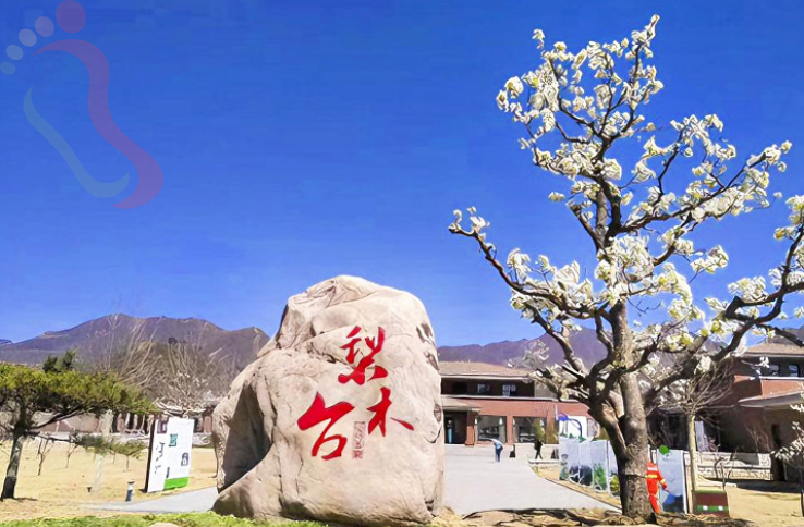 天津蓟州友客相约民宿 - 周边游玩